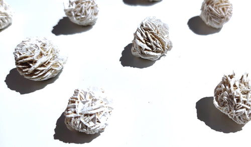 Desert Rose Selenite - Florida Sol Crystal Co